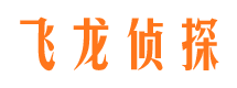 平乡飞龙私家侦探公司